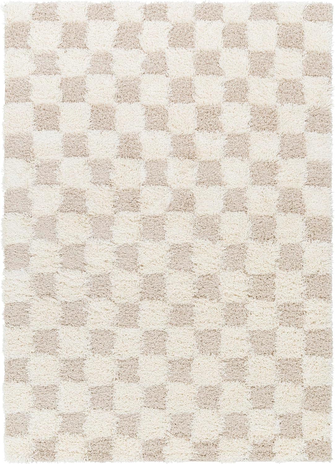 Bondurant Shag Area Rug for Living Room Bedroom or Kitchen