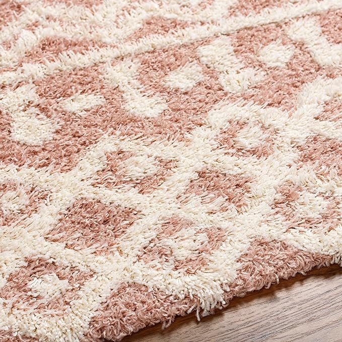 Carter Shag Area Rug Carpet for Living Room Bedroom or Kitchen