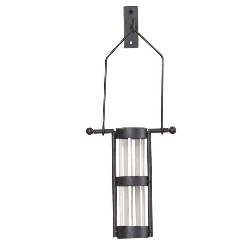 Garwood 2 Piece Clear Glass, Black Frame Wall Vase Set (Set of 2