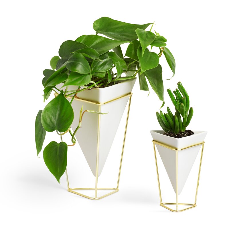 Sardes 2 Piece Indoor / Outdoor Porcelain Table Vase Set