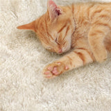 Mukami 65" Cat Condo