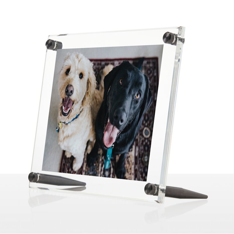 Vina Single Beveled Rectangle Tabletop Picture Frame