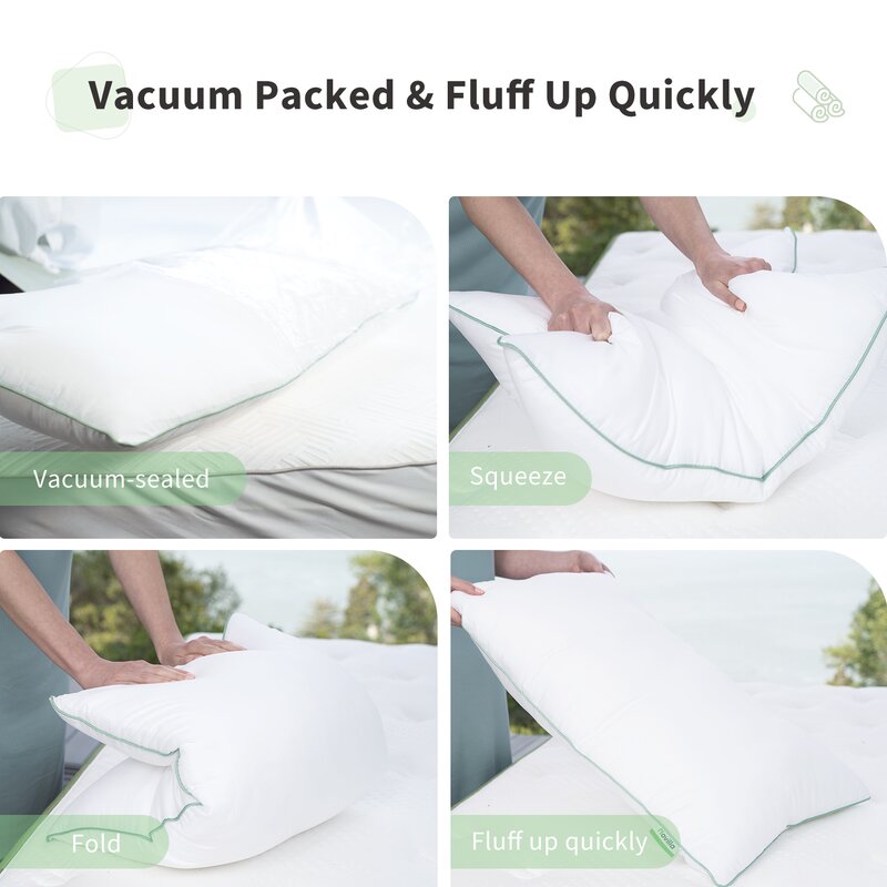 Racro Down Alternative Plush Support Pillow (Set of 2)