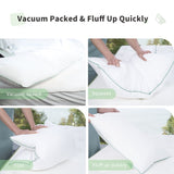 Racro Down Alternative Plush Support Pillow (Set of 2)