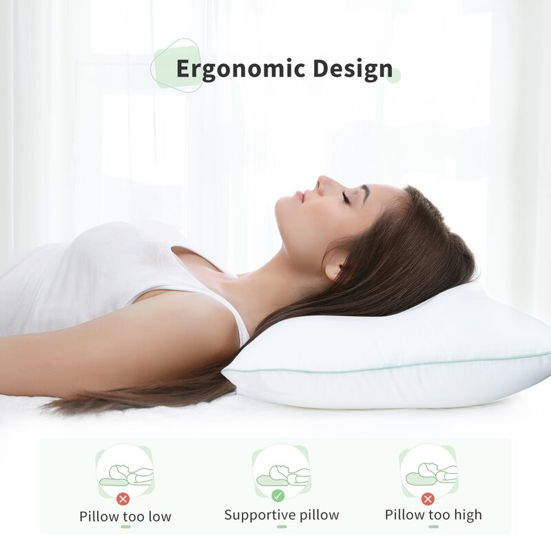 Racro Down Alternative Plush Support Pillow (Set of 2)