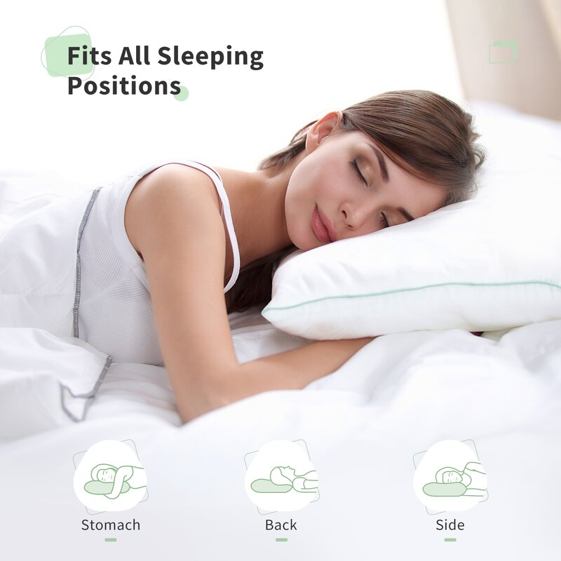 Racro Down Alternative Plush Support Pillow (Set of 2)