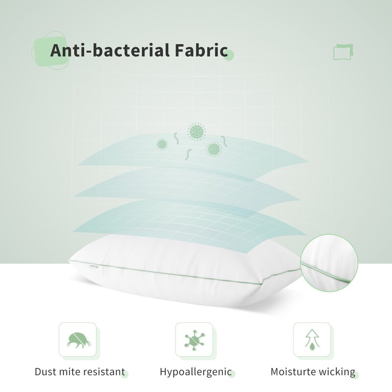 Racro Down Alternative Plush Support Pillow (Set of 2)