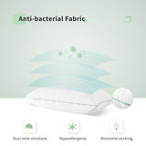 Racro Down Alternative Plush Support Pillow (Set of 2)