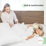 Racro Down Alternative Plush Support Pillow (Set of 2)