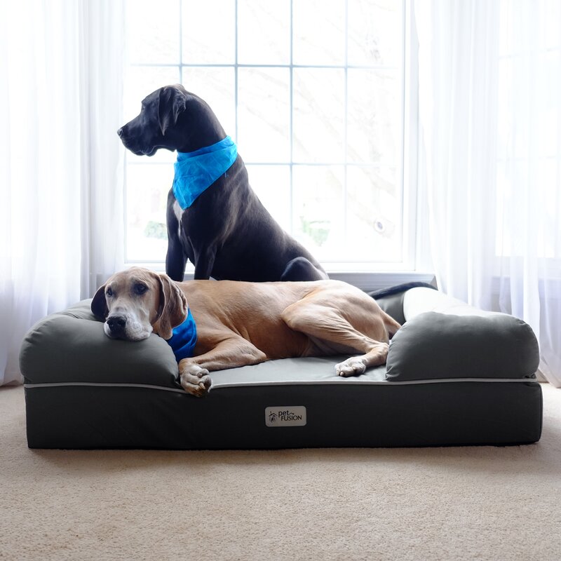 Ohlman Dog Bed & Lounge with Orthopedic Memory Foam Bolster