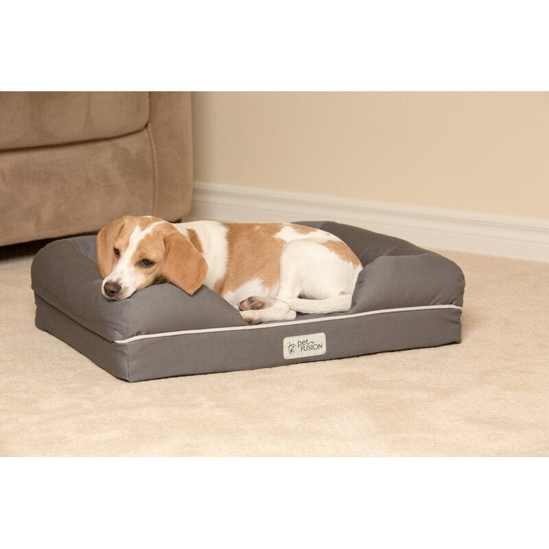Ohlman Dog Bed & Lounge with Orthopedic Memory Foam Bolster