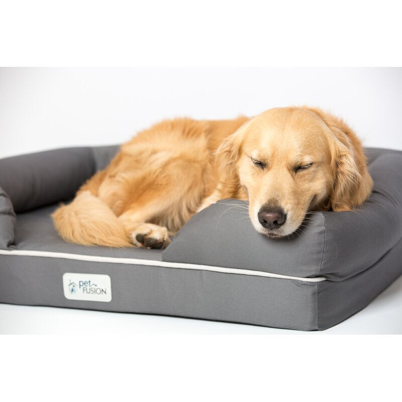 Ohlman Dog Bed & Lounge with Orthopedic Memory Foam Bolster