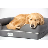 Ohlman Dog Bed & Lounge with Orthopedic Memory Foam Bolster