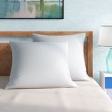 Jaquepa Polyester European Plush Support Pillow (Set of 2)