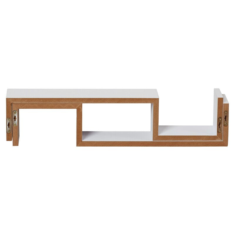 Briniji 2 Piece Novelty Floating Wall Shelf Set (Set of 2)