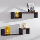 Briniji 2 Piece Novelty Floating Wall Shelf Set (Set of 2)
