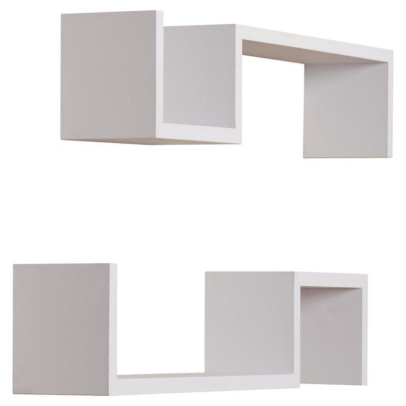 Briniji 2 Piece Novelty Floating Wall Shelf Set (Set of 2)