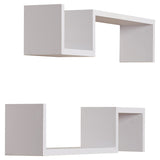 Briniji 2 Piece Novelty Floating Wall Shelf Set (Set of 2)