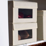 Bampsay Small Shoe Storage Box (Set of 2)