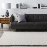 White durable area rug