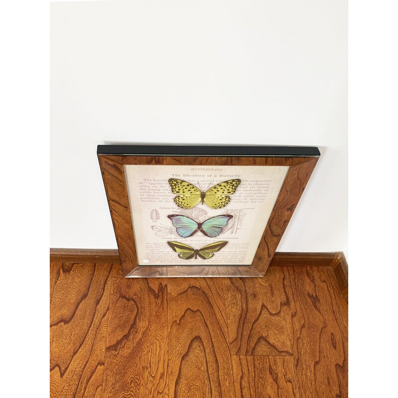 Guayrus Beveled Mirror Single Picture Frame