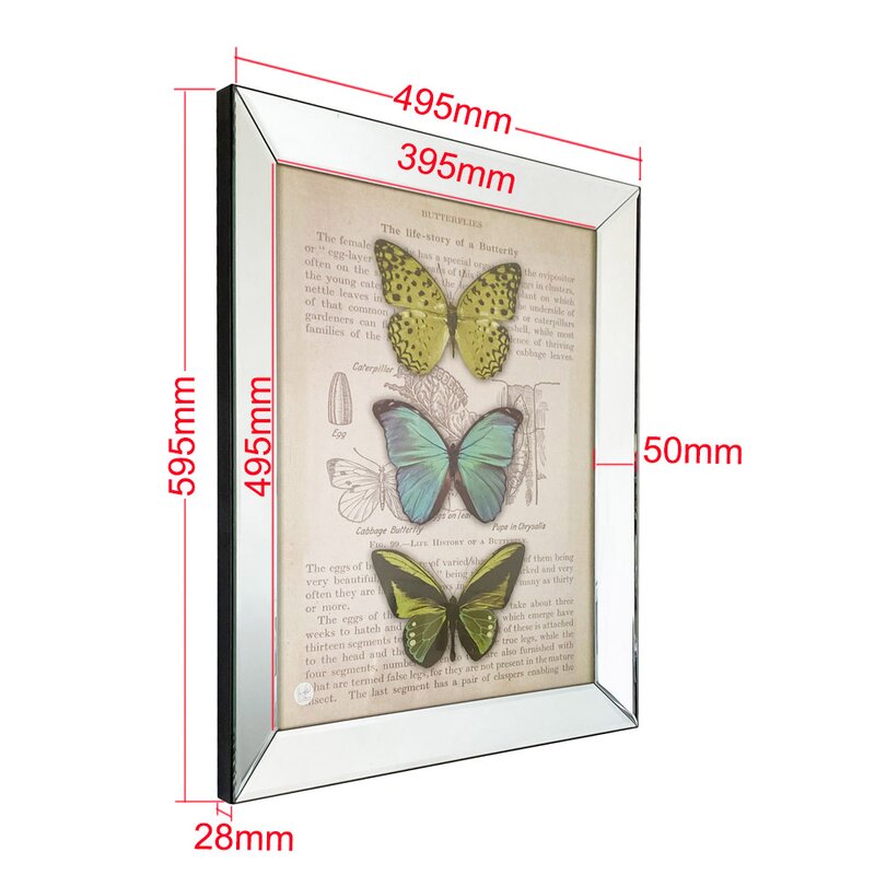 Guayrus Beveled Mirror Single Picture Frame