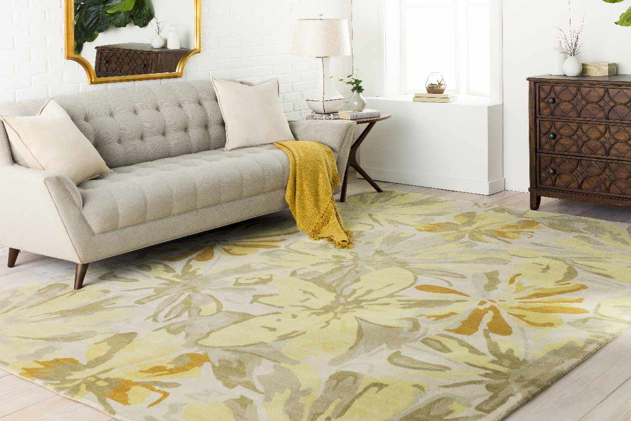 Tohaines Transitional Area Rug