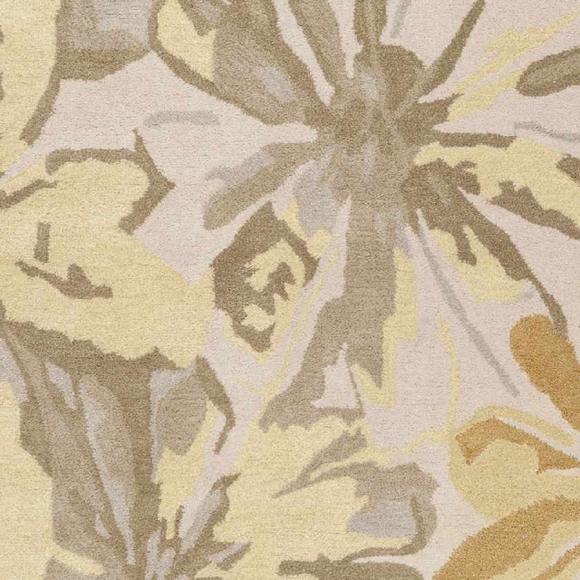 Tohaines Transitional Area Rug