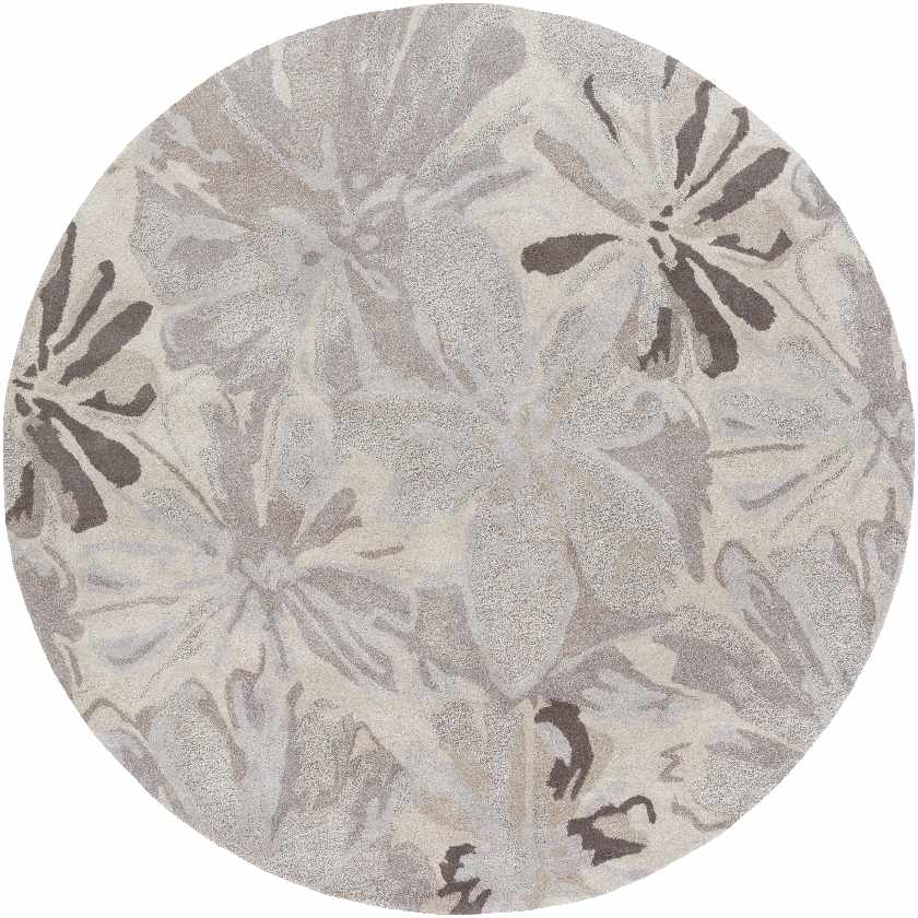 Tohaines Transitional Area Rug