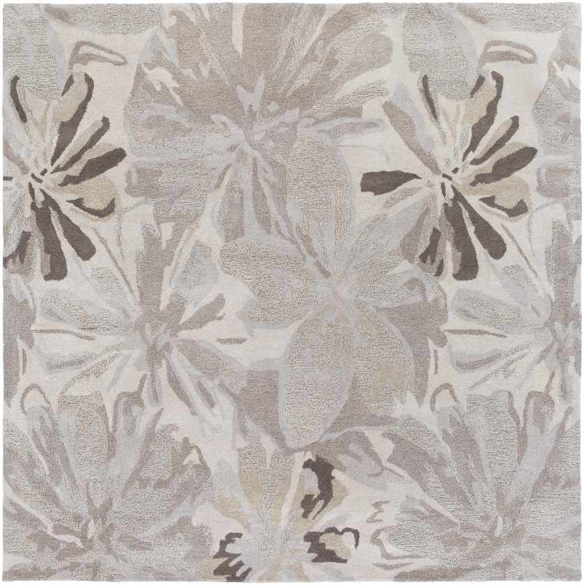 Tohaines Transitional Area Rug
