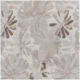 Tohaines Transitional Area Rug