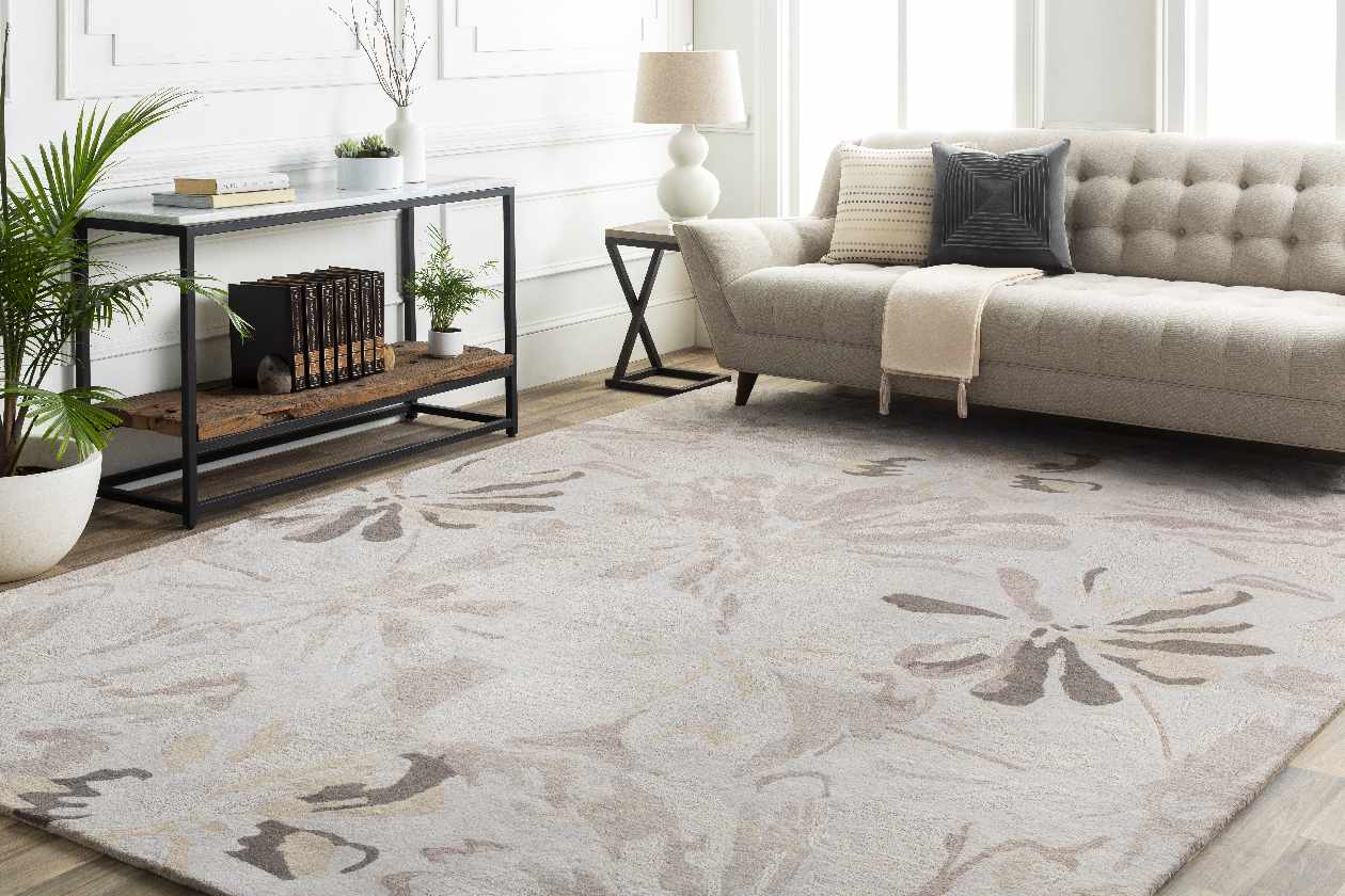 Tohaines Transitional Area Rug