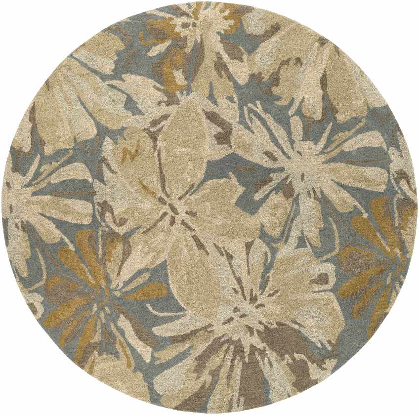 Tohaines Transitional Area Rug