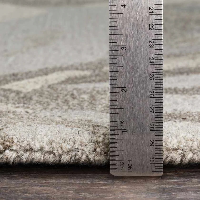 Tohaines Transitional Area Rug