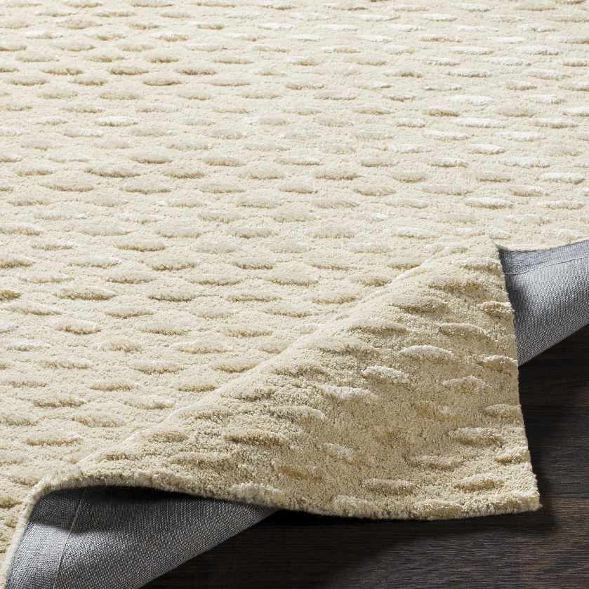 Goldmsall Solid and Border Area Rug