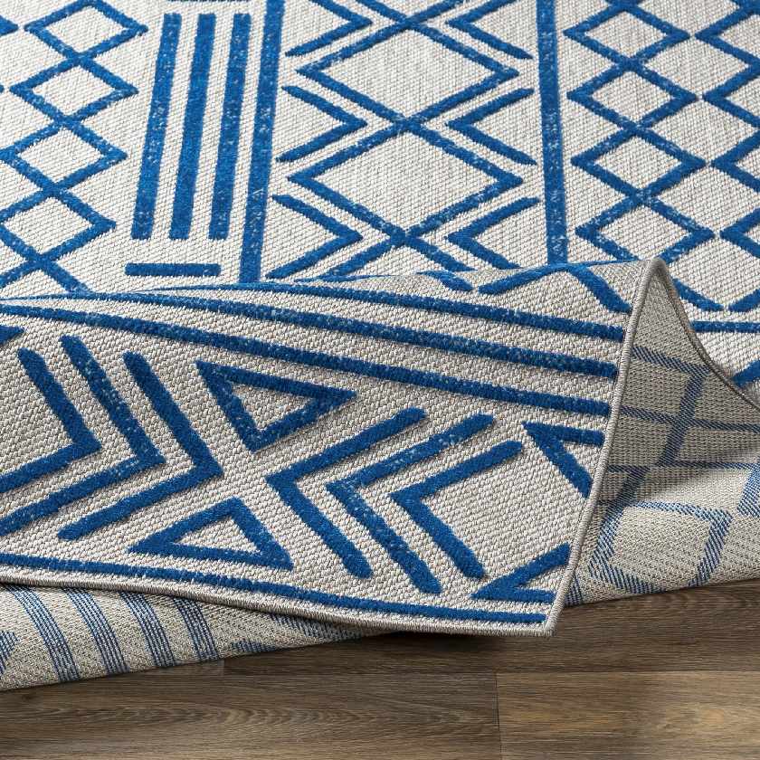 Leinforkan Bohemian/Global Area Rug