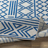 Leinforkan Bohemian/Global Area Rug