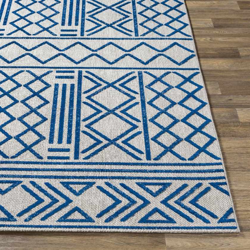 Leinforkan Bohemian/Global Area Rug