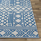 Leinforkan Bohemian/Global Area Rug