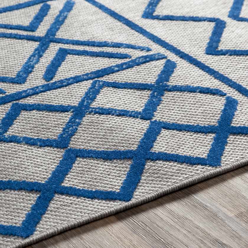 Leinforkan Bohemian/Global Area Rug