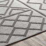 Leinforkan Bohemian/Global Area Rug