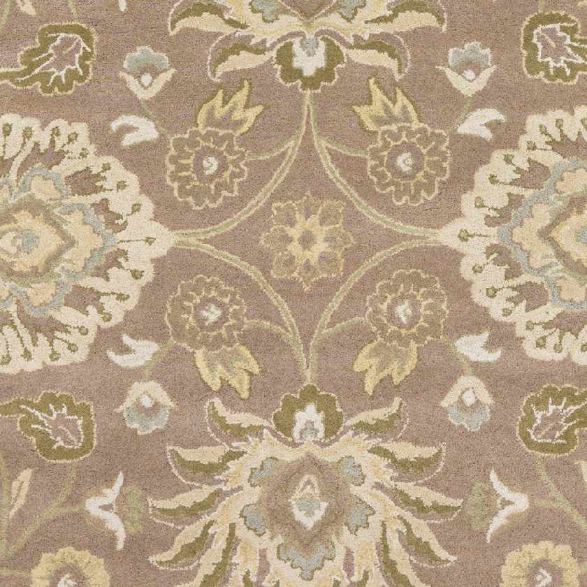 Chamhampton Traditional Area Rug