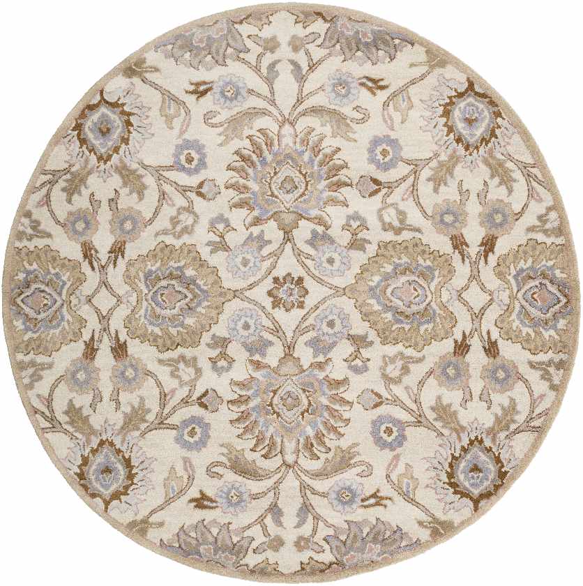 Chamhampton Traditional Area Rug