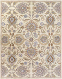 Chamhampton Traditional Area Rug