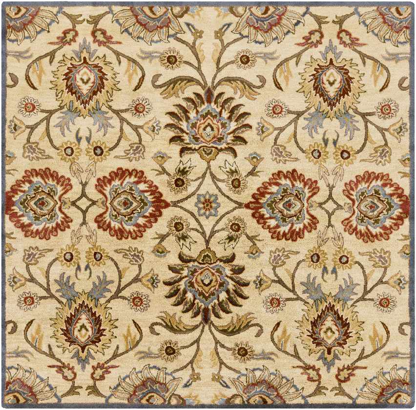 Meathur Traditional Area Rug