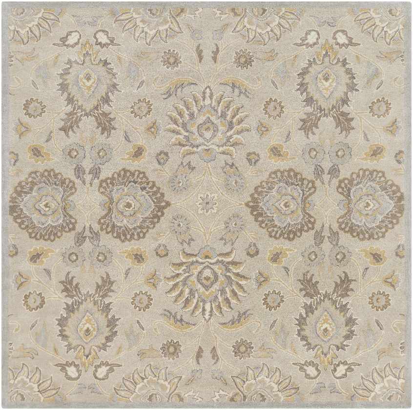 Chamhampton Traditional Area Rug