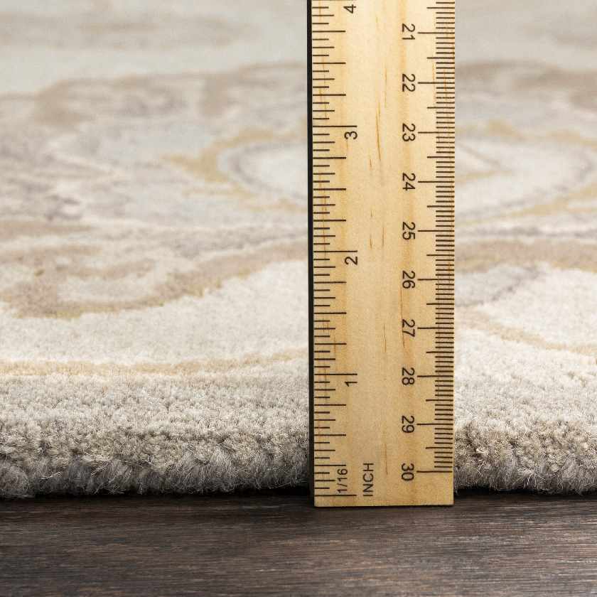 Chamhampton Traditional Area Rug