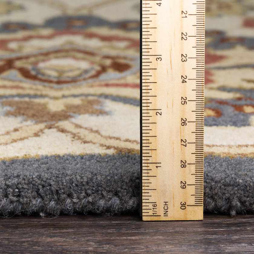 Chamhampton Traditional Area Rug