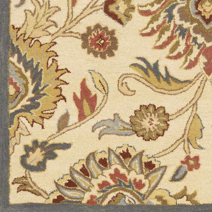 Chamhampton Traditional Area Rug