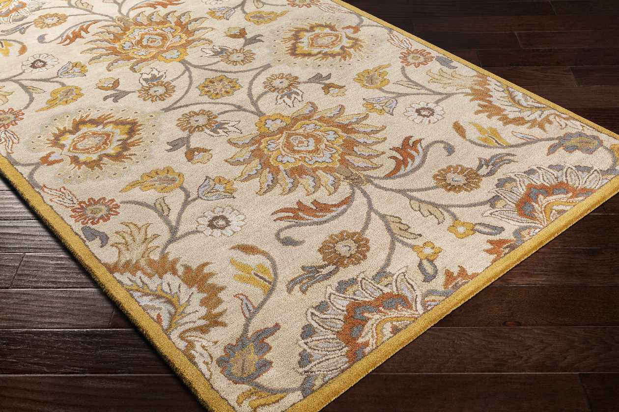 Chamhampton Traditional Area Rug